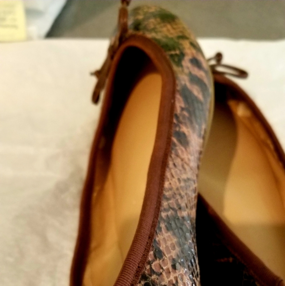 Ballet Flat shoes